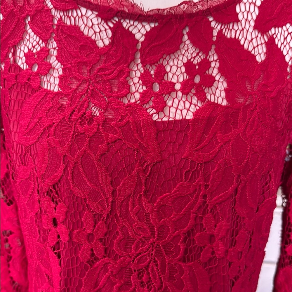 Adrianna Papell romantic Long Sleeve Dress in Elegant Red - Picture 5 of 9